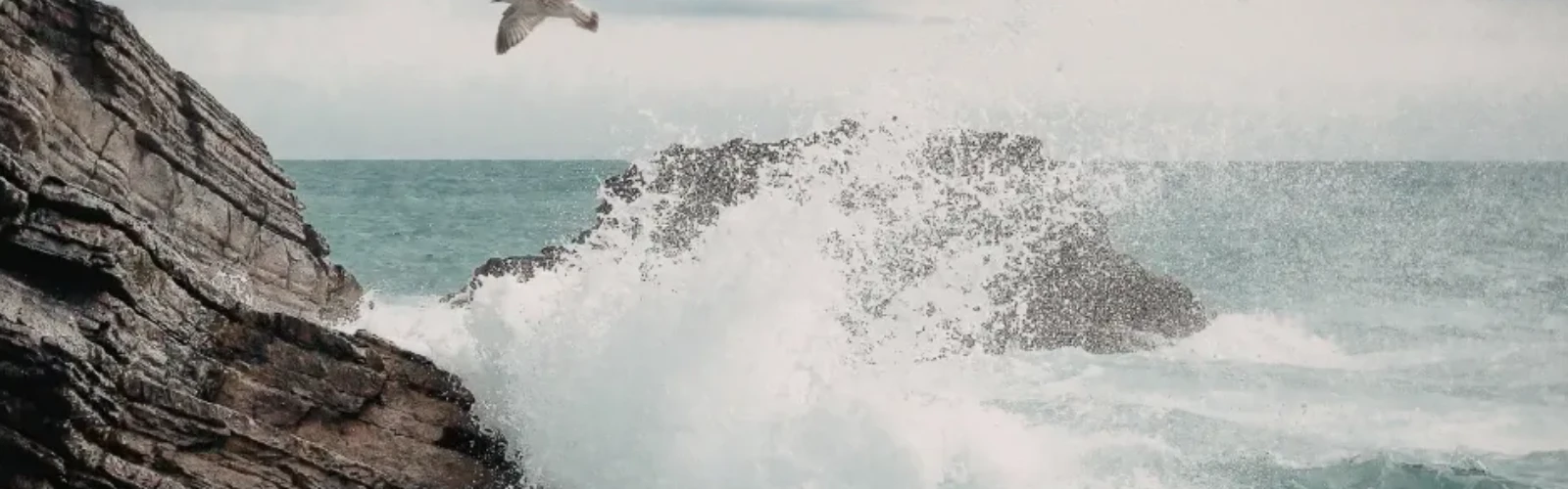 Morro Bay Insider Guide: Local Secrets & Hidden Spots