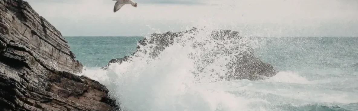 Morro Bay Insider Guide: Local Secrets & Hidden Spots