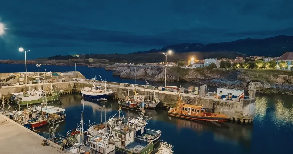 Morro Bay, USA Travel Guide: Beaches, Attractions & Local Highlights